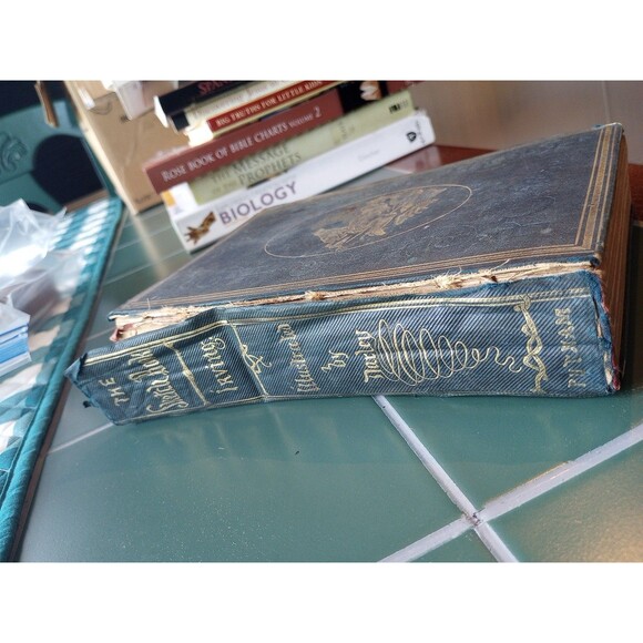 1848 The Sketchbook Of Geoffreycrayon Hardcover Original Designs By F.O.C Darley - Picture 2 of 8